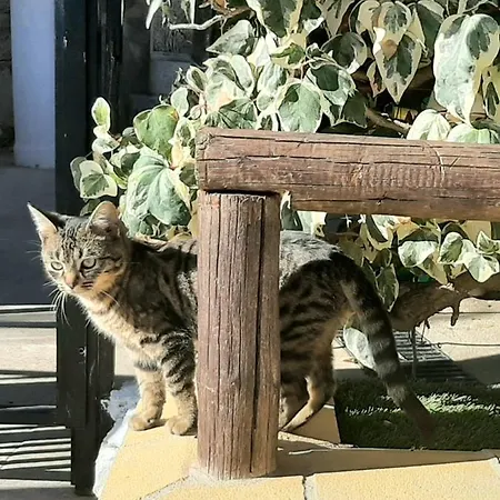 Rural Cristi