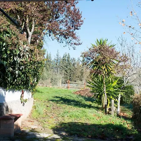 Apartment Rural Cristi *
