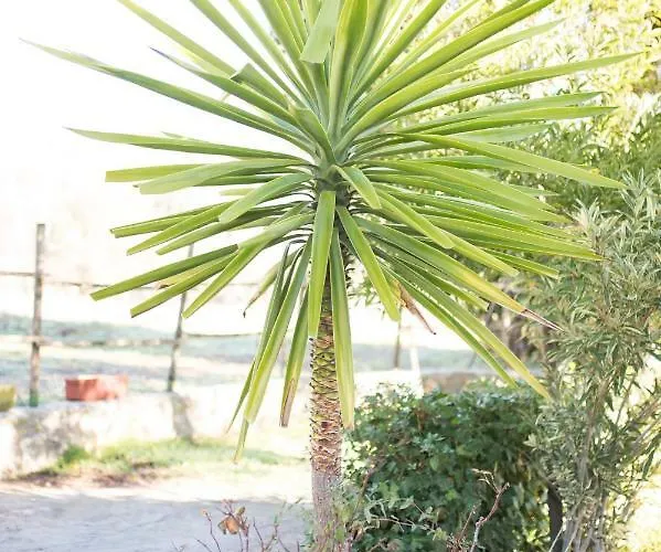 Rural Cristi * Ronda