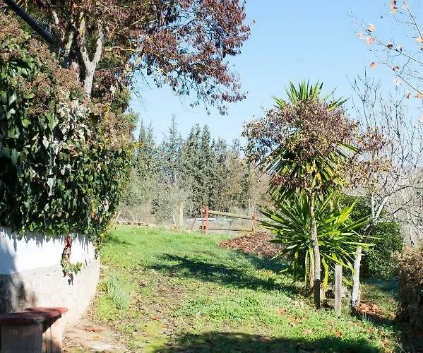 Apartment Rural Cristi *